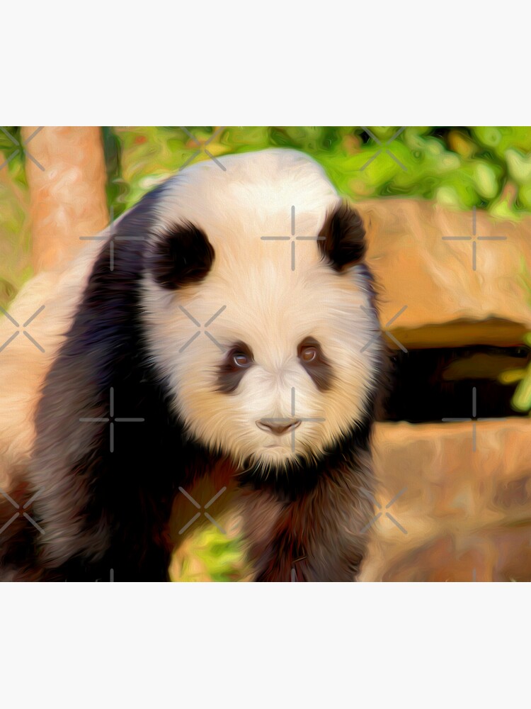 Giant Panda (digital painting) by RayW