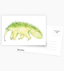Fourmilier Meadow Cartes postales