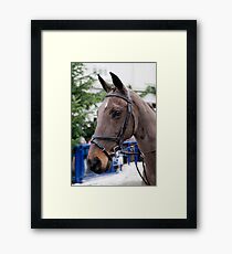 Here they come Framed Print
