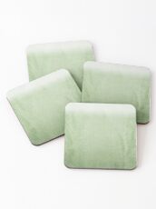 FADING GREEN by Monika Strigel Coasters