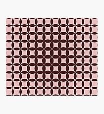 Lazy Blanket Photographic Print