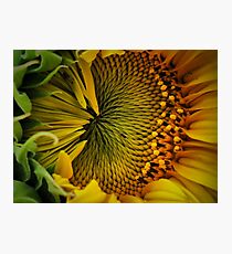 Close Contact Photographic Print
