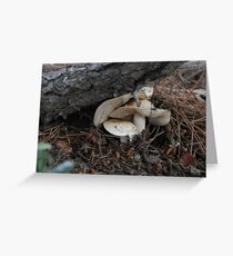 It's getting crowded in here! Step off, fungi! Greeting Card