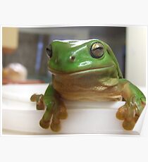 kermit Poster