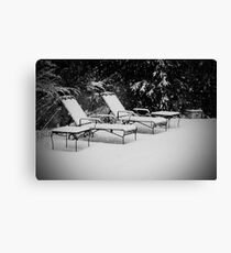 Bed of Snow Canvas Print