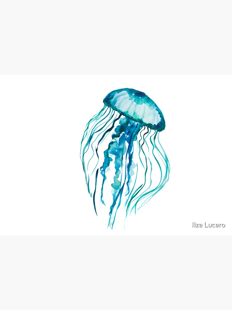 Watercolor Jellyfish by ilzesgimene