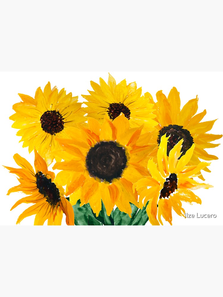 Painted sunflower bouquet by ilzesgimene