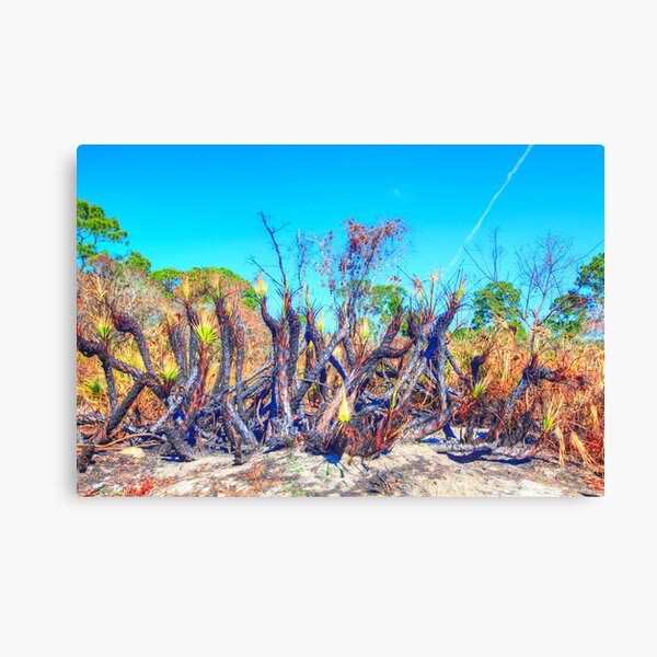 Meteor Fire Canvas Print
