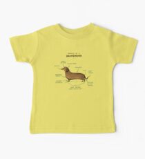 Anatomy of a Dachshund Baby Tee