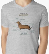 Anatomie eines Dackels T-Shirt mit V-Ausschnitt für Männer