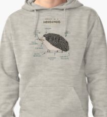 Anatomy of a Hedgehog Pullover Hoodie