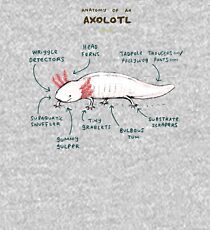Anatomy of an Axolotl Kids Pullover Hoodie