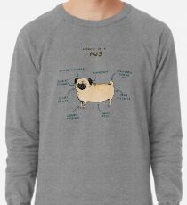 Anatomy of a Pug Lightweight Sweatshirt
