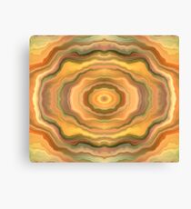 Cosmic Tunnel Canvas Print