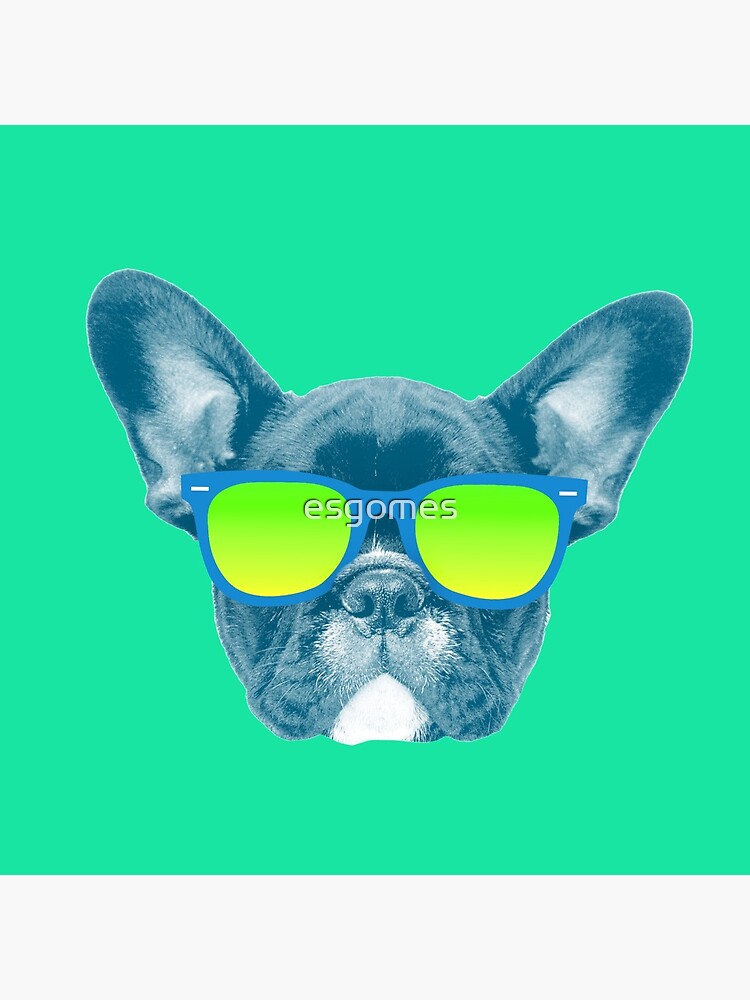 Cool Dog wearing Sunglasses by esgomes