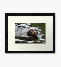 Loving the Water Framed Print