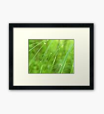 green diamonds Framed Print