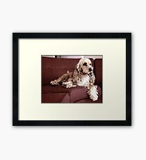 Babe Framed Print