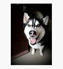 Max Photographic Print