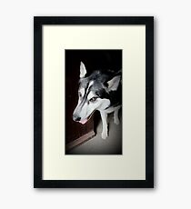 Looking For Grandma Framed Print