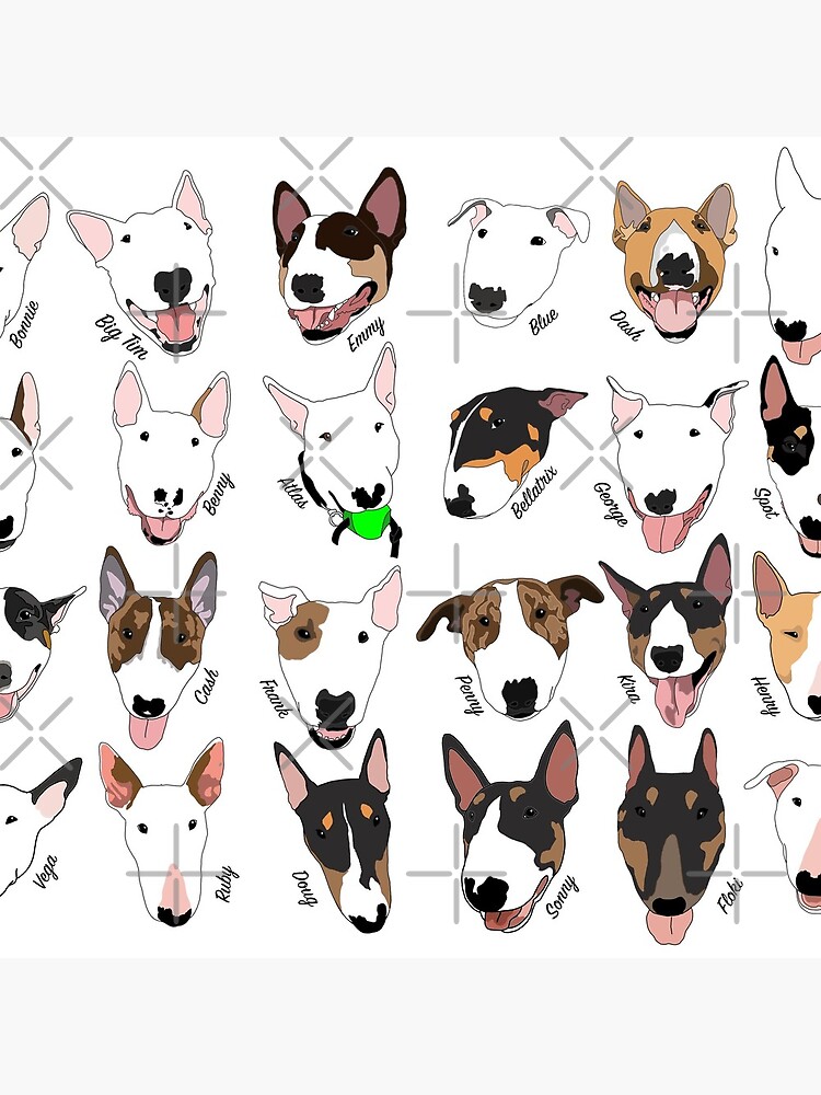Glasgow Bull Terrier Club by emilydevineart