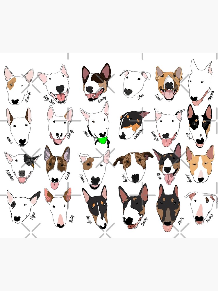 Glasgow Bull Terrier Club by emilydevineart