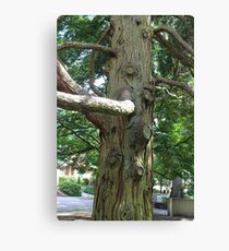 Standing Alone and Proud Canvas Print