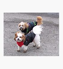 Stormy Weather Guys Photographic Print