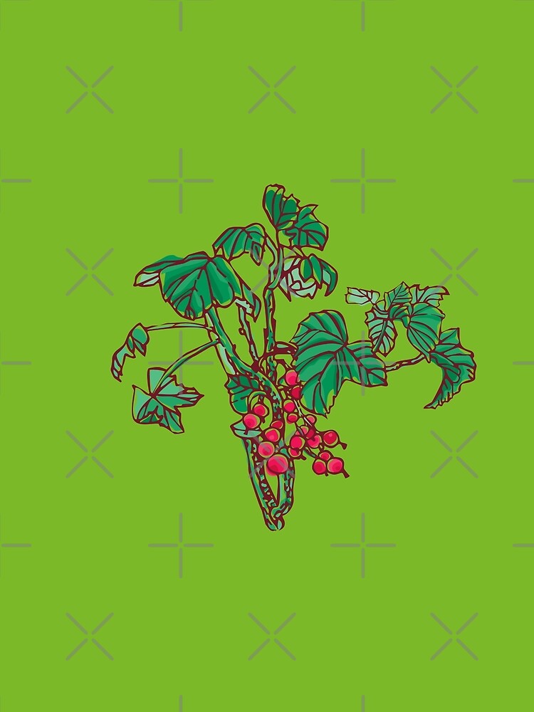 Currant by rusanovska