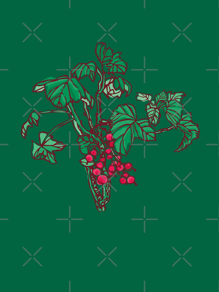 Currant by rusanovska