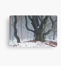 Fancy trees Canvas Print