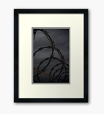 Coldness Framed Print