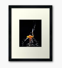 Stormtrooper Framed Print