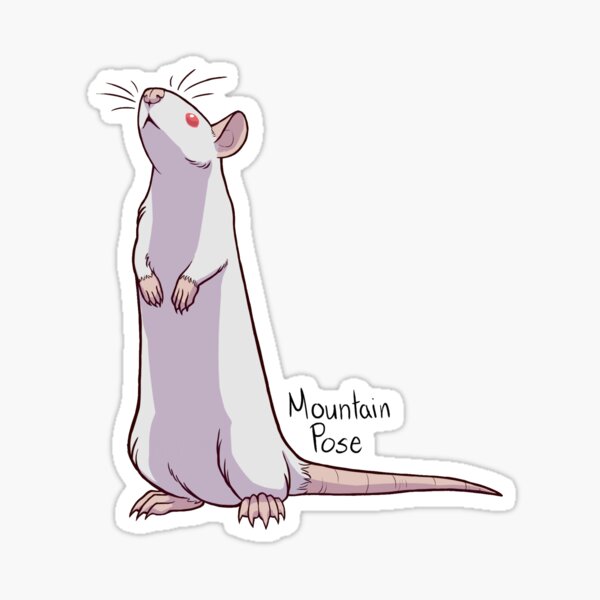 Yoga Rat Gifts & Merchandise | Redbubble