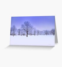 Winter Blues Greeting Card