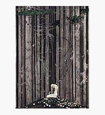 In the midst of the gloomy thick woods Photographic Print