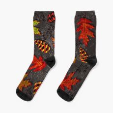 Galaxy d'automne Sock
