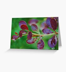 droplets,droplets Greeting Card