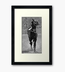Championship Run II Framed Print