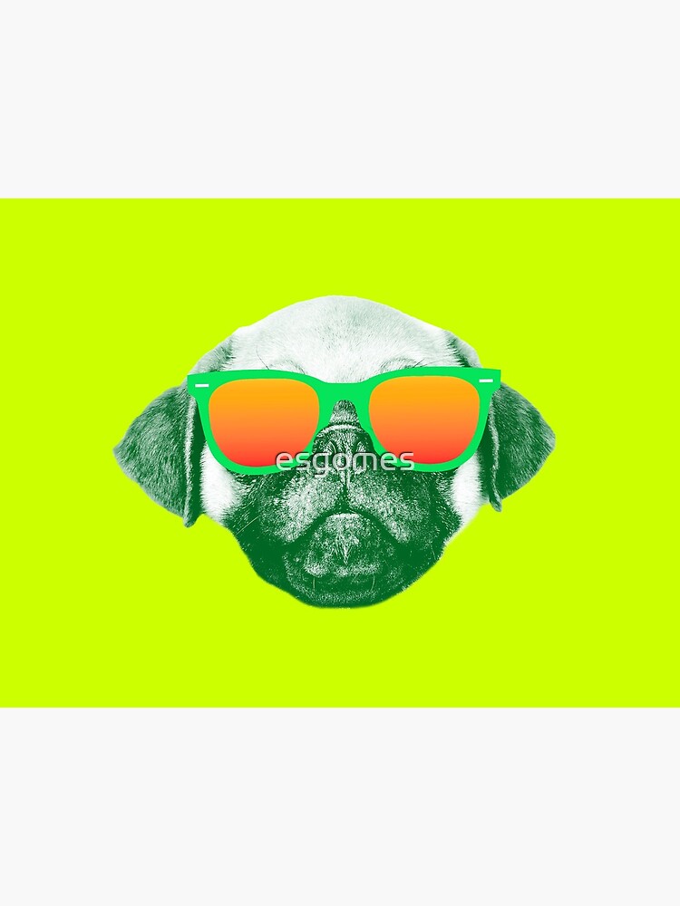 Funny Dog with Sunglasses by esgomes