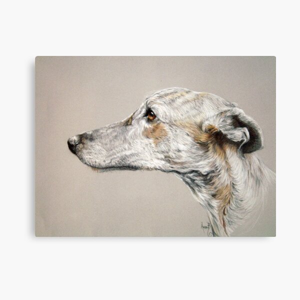 Greyhound Canvas Print