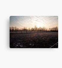 sunshine Canvas Print