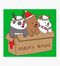 We Bare Bears Xmas Photographic Print
