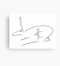 dthaase rabbit Canvas Print