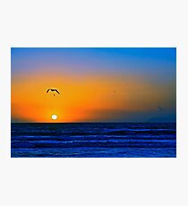 Colors Of Love Photographic Print