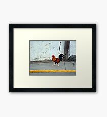 Cock of the Walk Framed Print