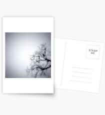 Contagion Postcards