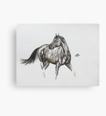 Harry Canvas Print