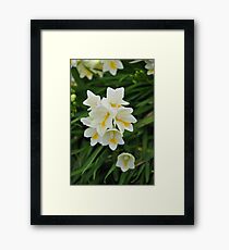 Spring Flowers Framed Print