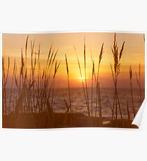 Sunset on Delaware Bay Poster